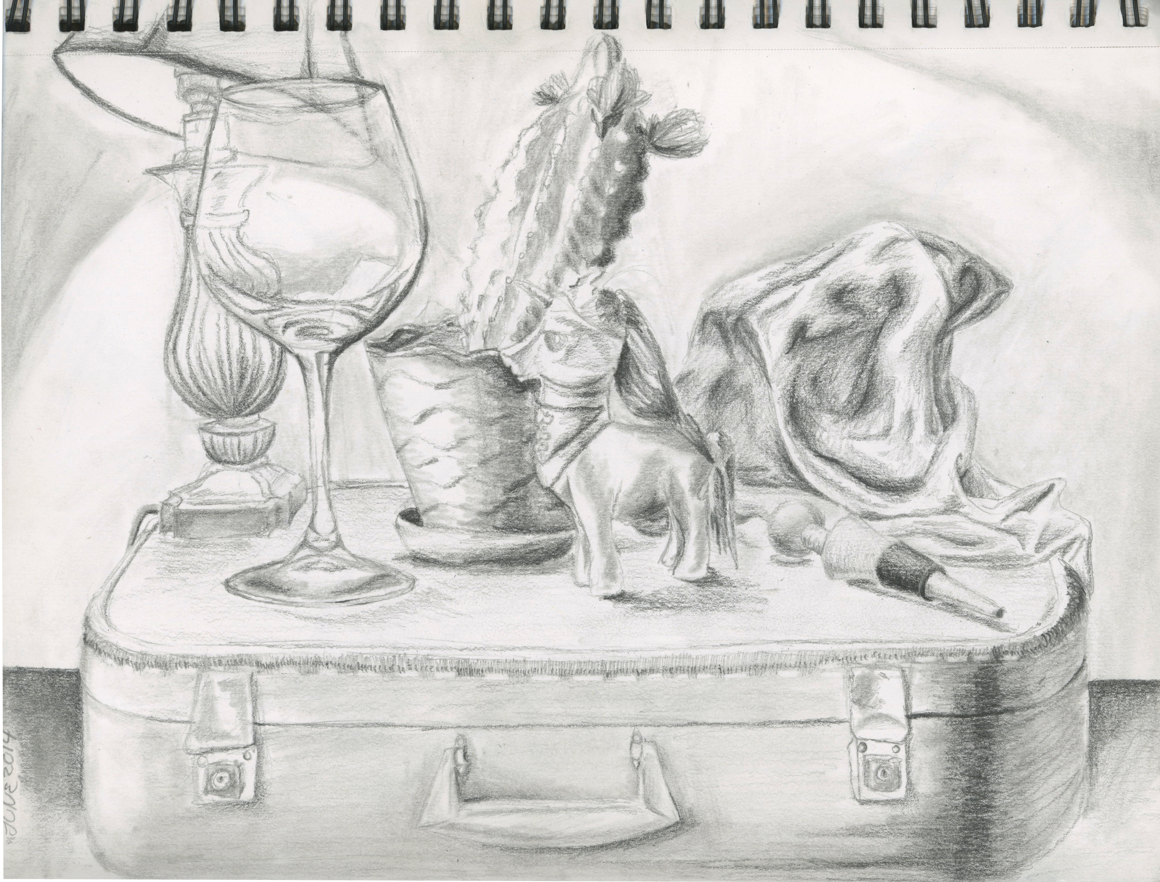 Pencil, white, grey, plant, cactus, wine, lamp, towel, Drawing, 8in x 11in, paper. By Destiny Barrett