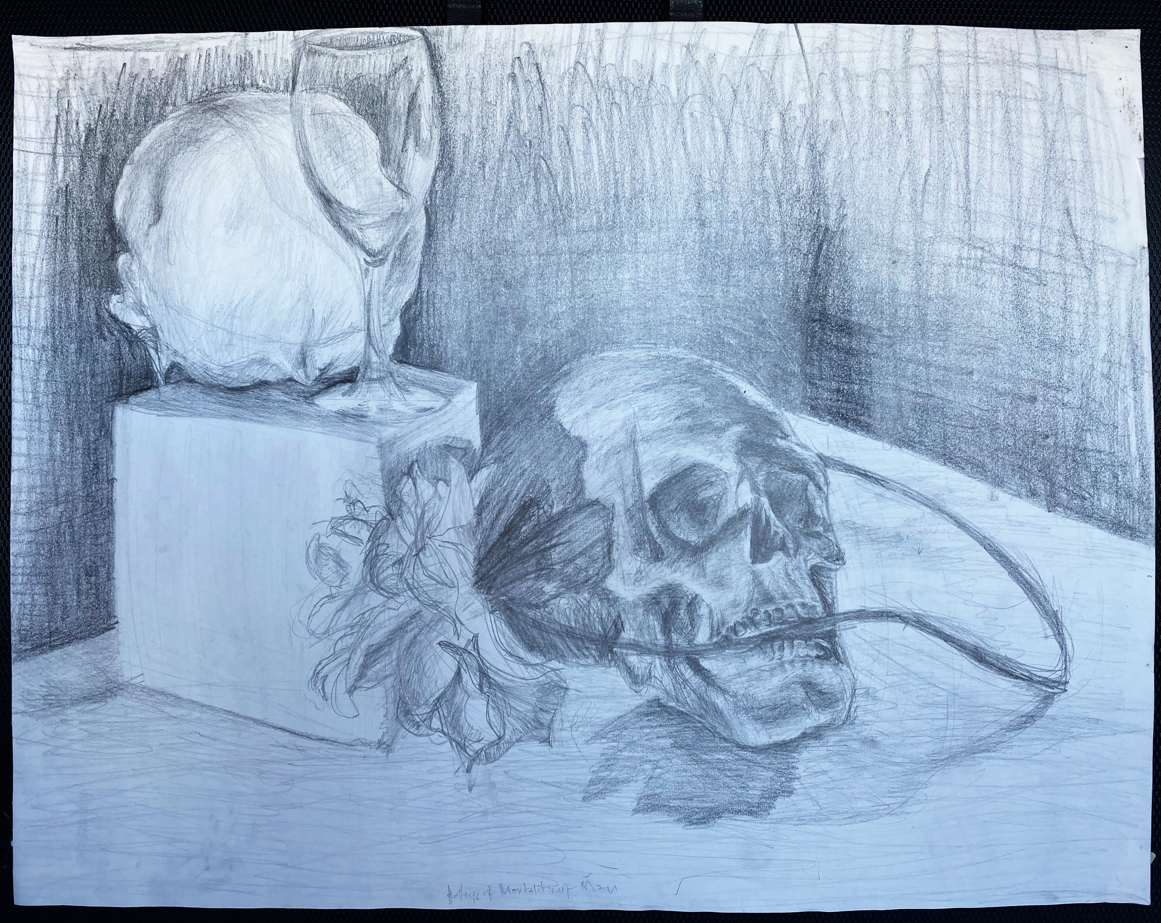 Pencil, grey, white, wine glass, hatching, csn, Still life. 24in x 18in. By Destiny Barrett.